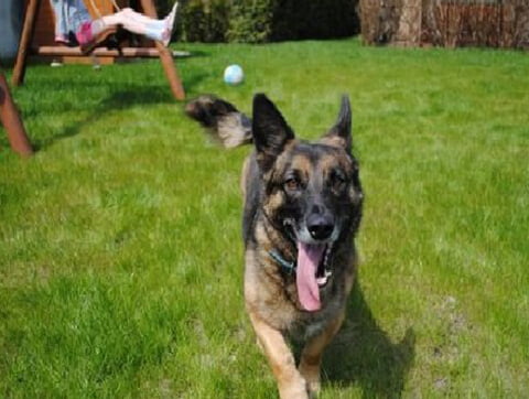 Pacjent Amicus w Zielonej Górze