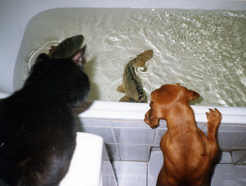 Pacjenci lecznicy Amicus Zielona Góra