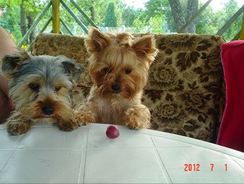 Dzielni pacjenci Amicusa