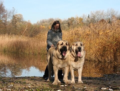 Pacjenci przychodni weterynaryjnej AMICUS