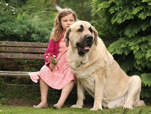 Wierny pacjent przychodni Amicus