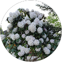 Malgorzata Smolarczyk profile picture