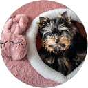 Оксана Булаевская profile picture