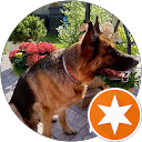 Agnieszka Sz. profile picture