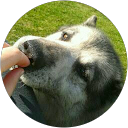 boRuta. Marta Sznajder profile picture