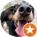 Agnieszka Zajączkowska profile picture