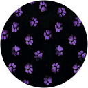 Asia Buzuk profile picture